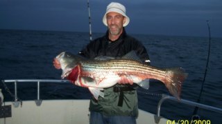 Chesapeake Bay Trophy Rockfish 4 #63
