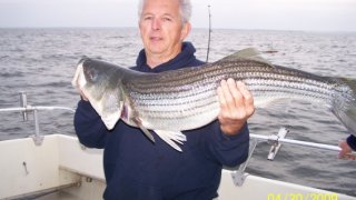 Chesapeake Bay Trophy Rockfish 4 #62