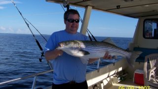 Chesapeake Bay Nice Rockfish #31