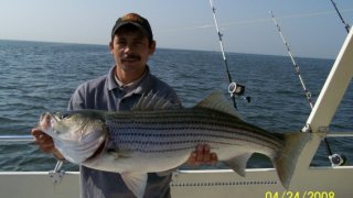 Chesapeake Bay Trophy Rockfish #15