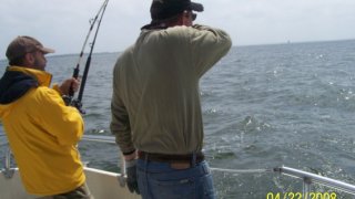 Chesapeake Bay Action Shots #23
