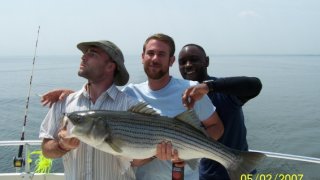 Chesapeake Bay Trophy Rockfish 2 #16