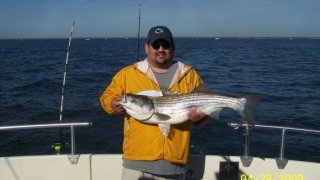 Chesapeake Bay Nice Rockfish 3 #18