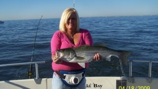 Chesapeake Bay Trophy Rockfish 4 #28