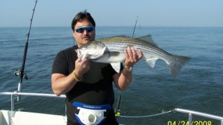 Chesapeake Bay Trophy Rockfish #14