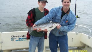 Chesapeake Bay Nice Rockfish 2 #33