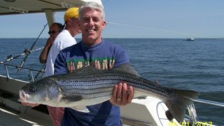 Chesapeake Bay Trophy Rockfish 2 #7
