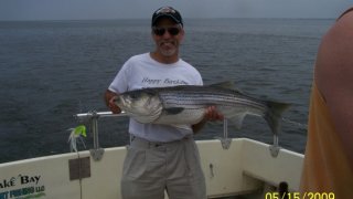 Chesapeake Bay Nice Rockfish 2 #26