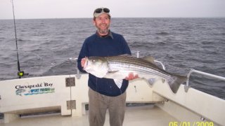 Chesapeake Bay Trophy Rockfish 4 #64