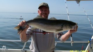 Chesapeake Bay Trophy Rockfish 2 #5