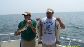 Chesapeake Bay Nice Rockfish 2 #2
