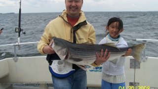 Chesapeake Bay Trophy Rockfish #1