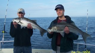 Chesapeake Bay Nice Rockfish 3 #2