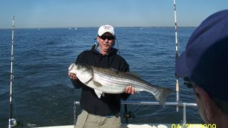 Chesapeake Bay Trophy Rockfish 4 #49