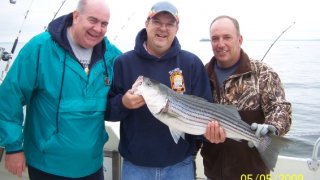 Chesapeake Bay Nice Rockfish 3 #30