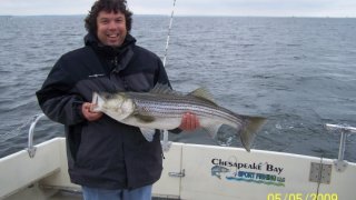 Chesapeake Bay Nice Rockfish 3 #29