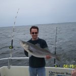 Chesapeake Bay Nice Rockfish 3 Album Cover