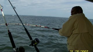 Chesapeake Bay Action Shots 2 #20