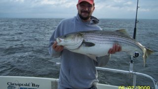 Chesapeake Bay Trophy Rockfish 3 #9
