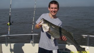 Chesapeake Bay Trophy Rockfish 4 #45